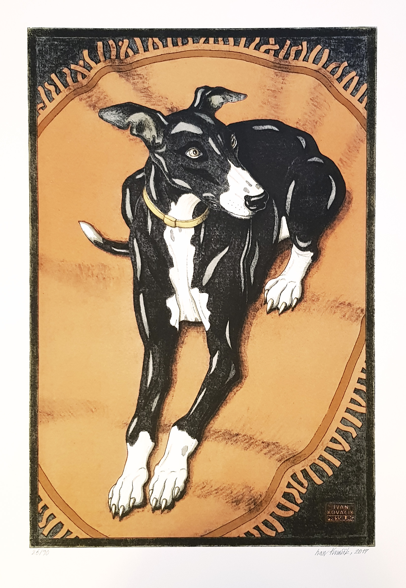 Greyhound, Ivan Kováčik, rámovanie obrazov