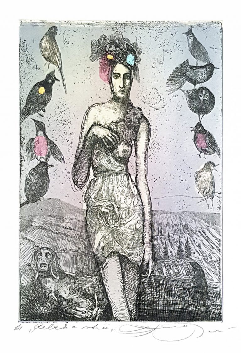 Rebeka A Vtáky, Katarína Vavrová, Galéria Ave, Rámovanie