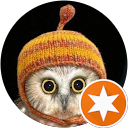B. Nikolajova profile picture